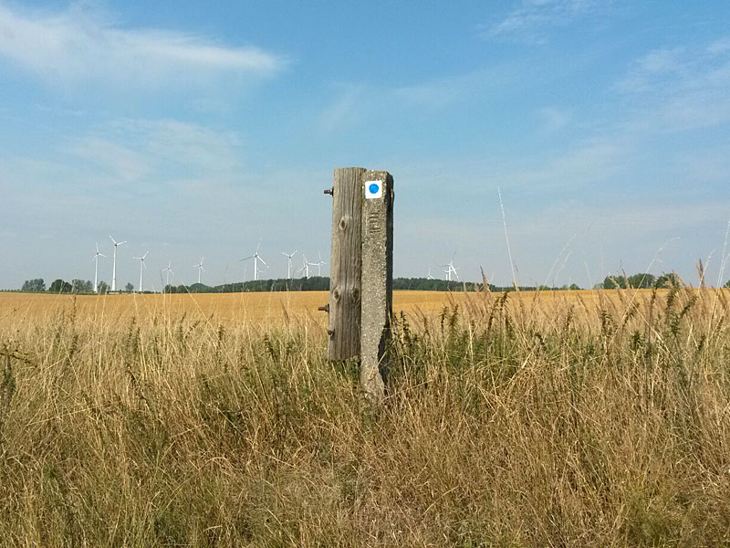 Rundwanderung von Grünberg über Bagemühl und Woddow