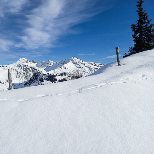 Von der Kelchalm – Bochumer Hütte zum Laubkogel
