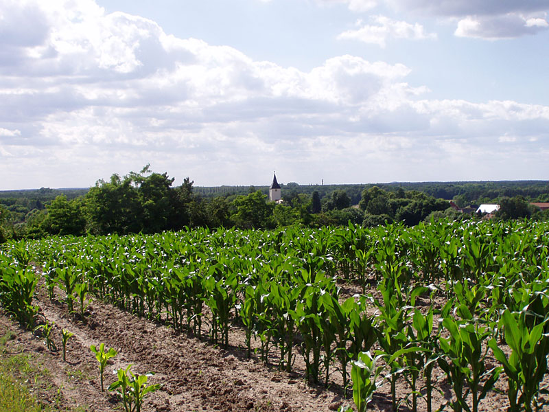 Gipsbrüche bei Sperenberg