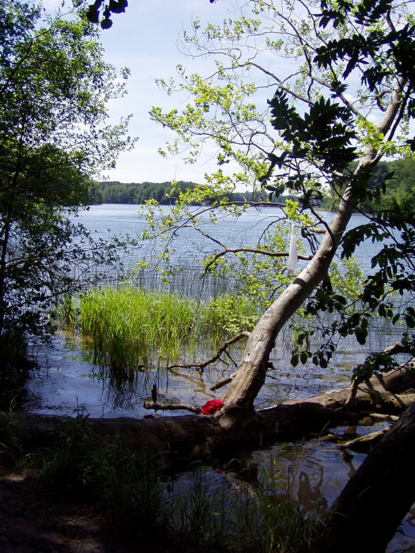 von Biesenthal zum Liepnitzsee