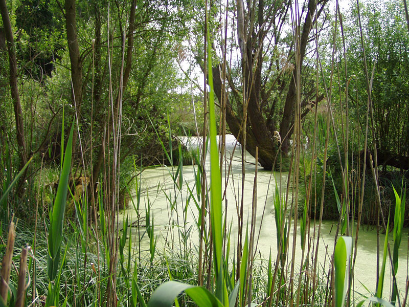 Biesenthaler Becken und 4 mal See