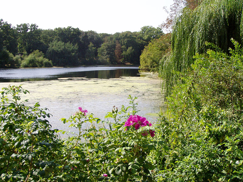 Zehlendorfer Seen