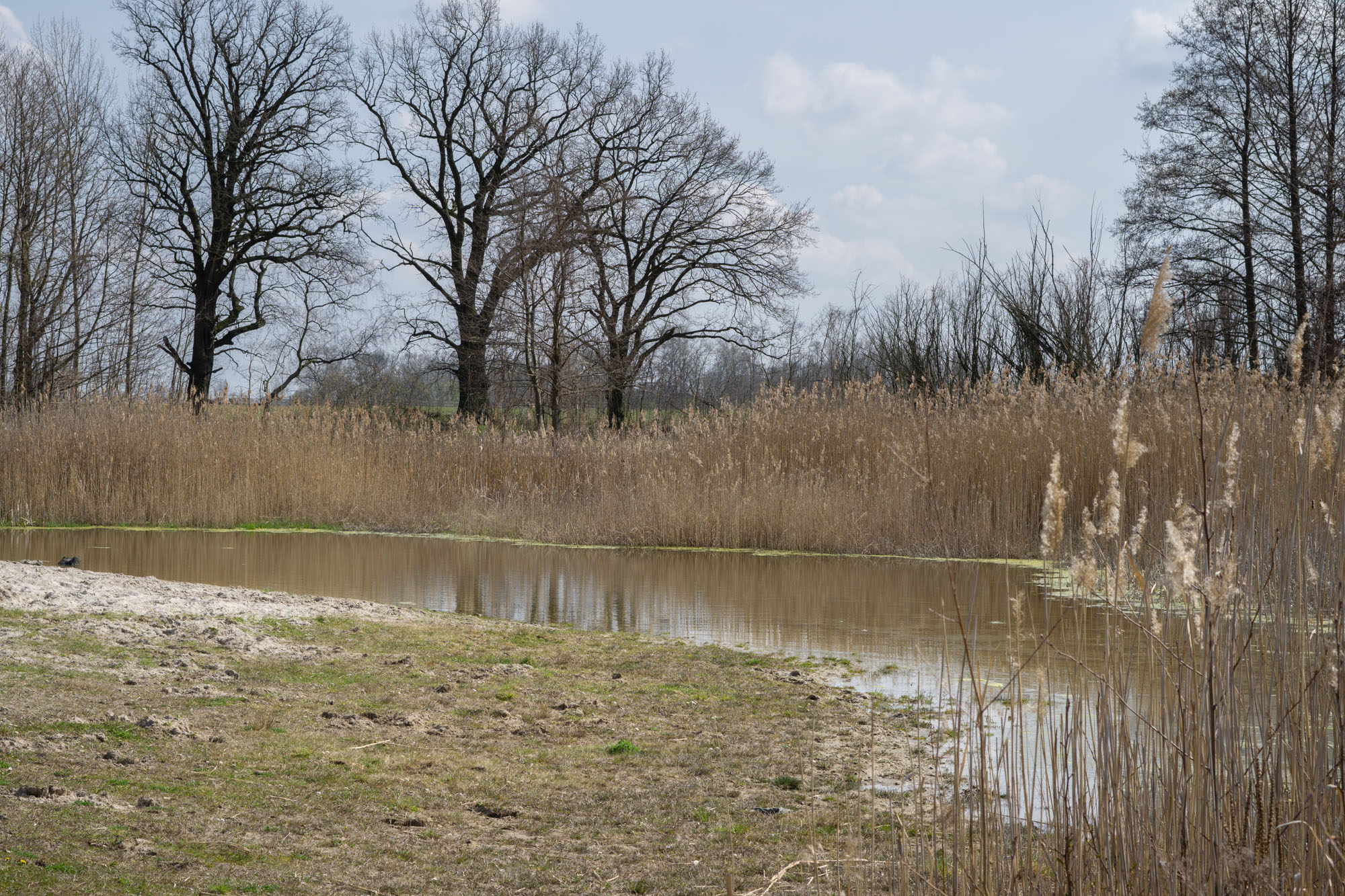 Wandern bei Berlin: Torfbusch und Selchower See