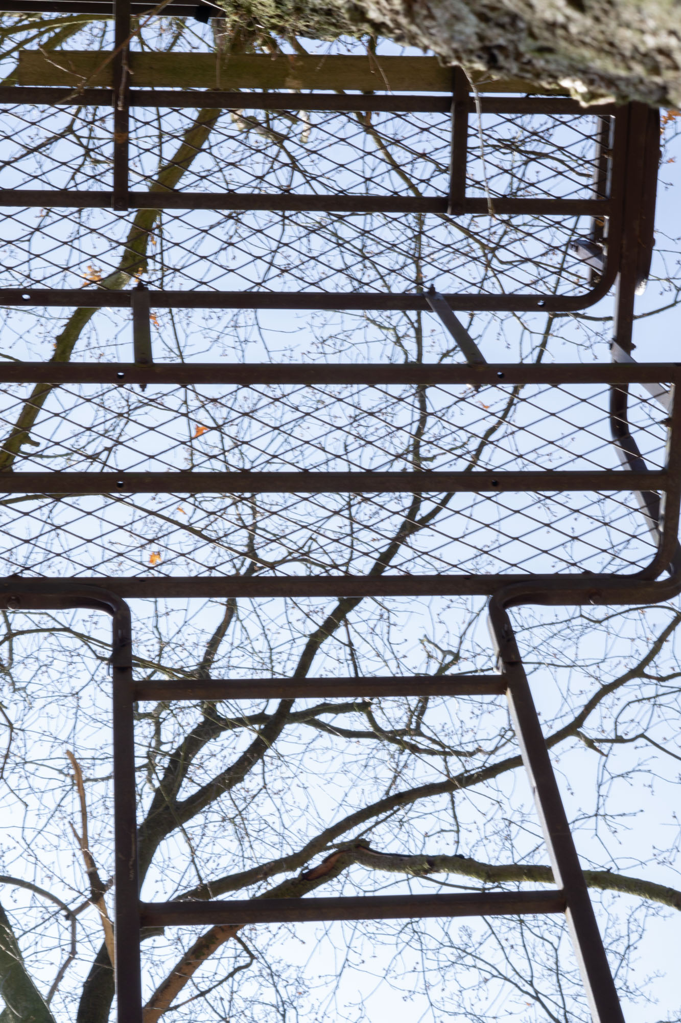 Wandern bei Berlin: Torfbusch und Selchower See