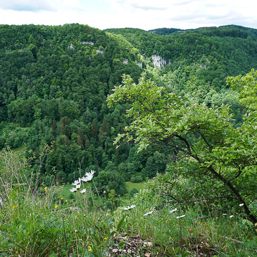 Schwäbische Alb: Hohenwittlingensteig