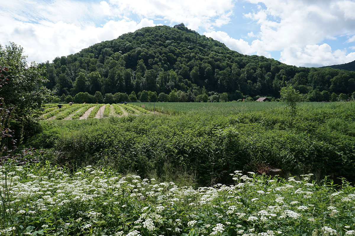 Wandern auf der Schwäbischen Alb: Gütersteiner und Uracher Wasserfall