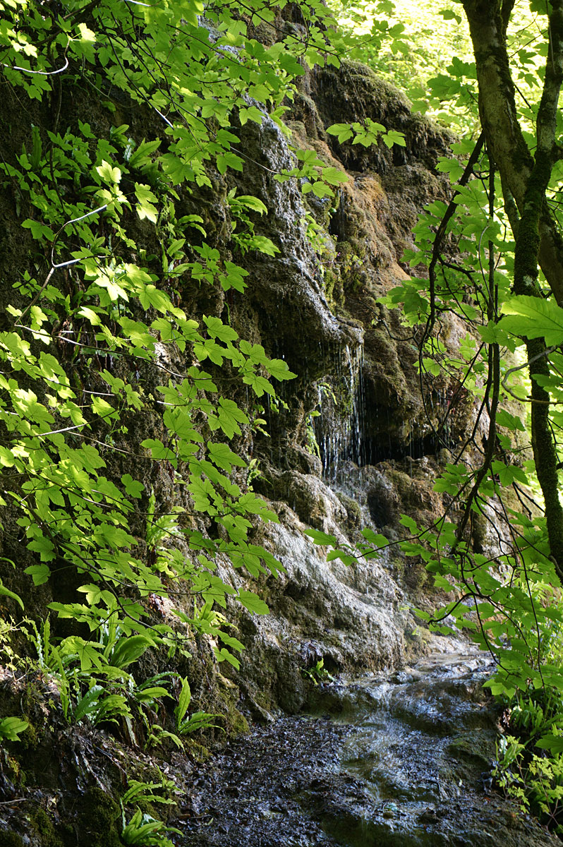 Wandern auf der Schwäbischen Alb: Gütersteiner und Uracher Wasserfall