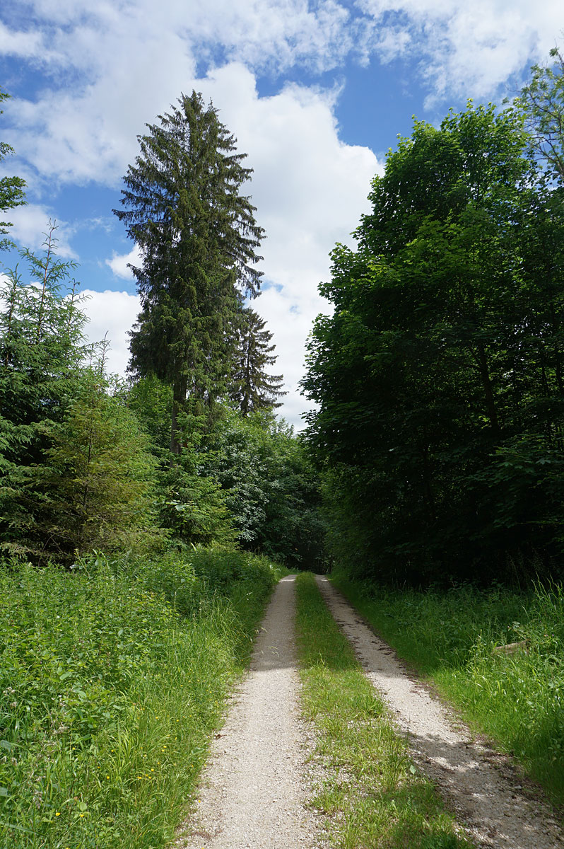 Wandern auf der Schwäbischen Alb: Gütersteiner und Uracher Wasserfall