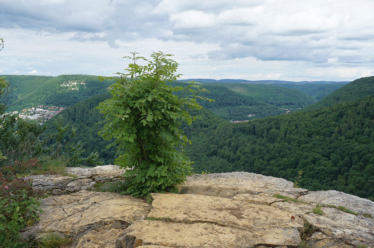 Wandern auf der Schwäbischen Alb: Gütersteiner und Uracher Wasserfall