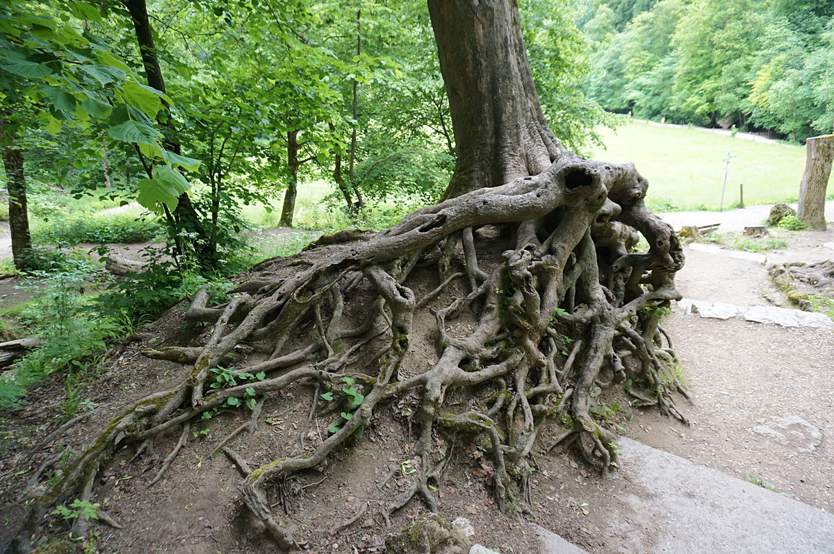 Wandern auf der Schwäbischen Alb: Gütersteiner und Uracher Wasserfall