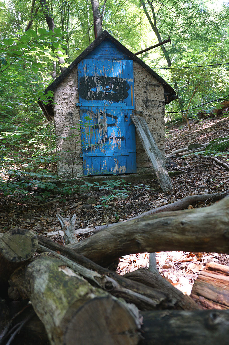 Elbhangwanderung bei Dresden