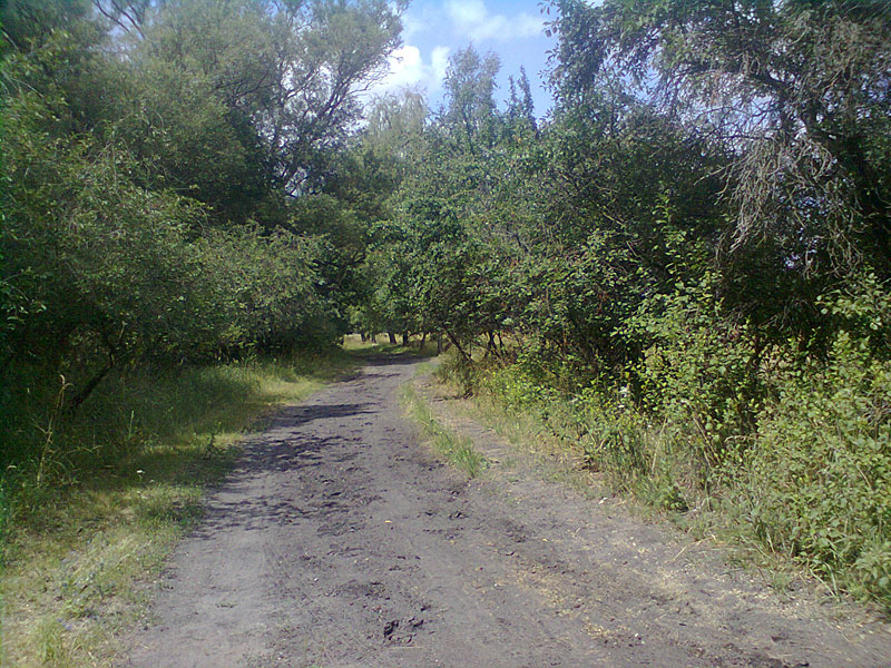 Saalower Höllenberg-Runde