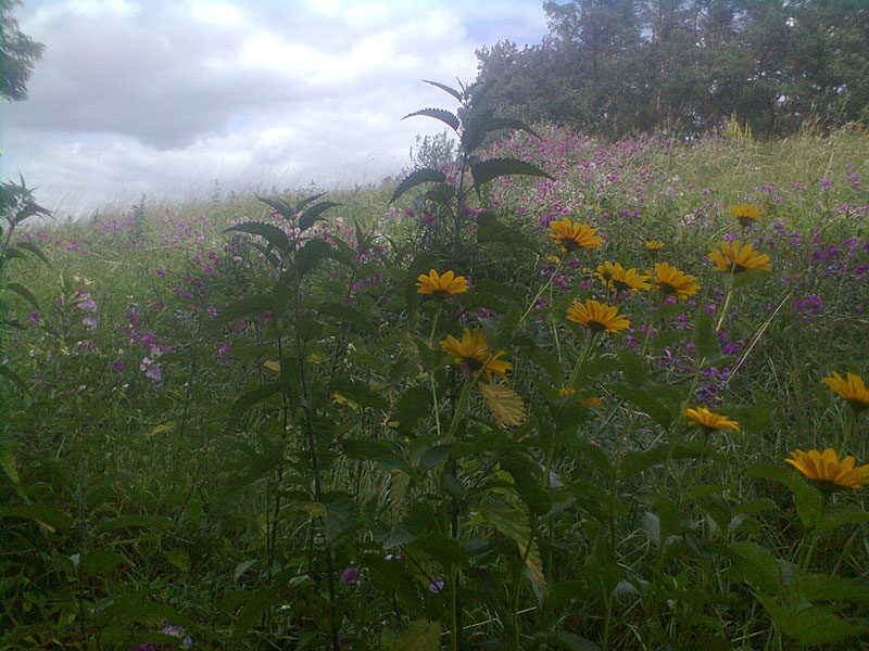 Saalower Höllenberg-Runde