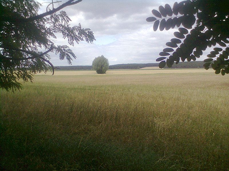 Saalower Höllenberg-Runde