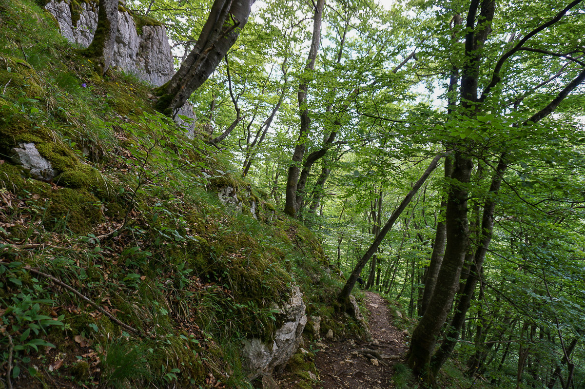 Schwäbische Alb: Hohenwittlingensteig