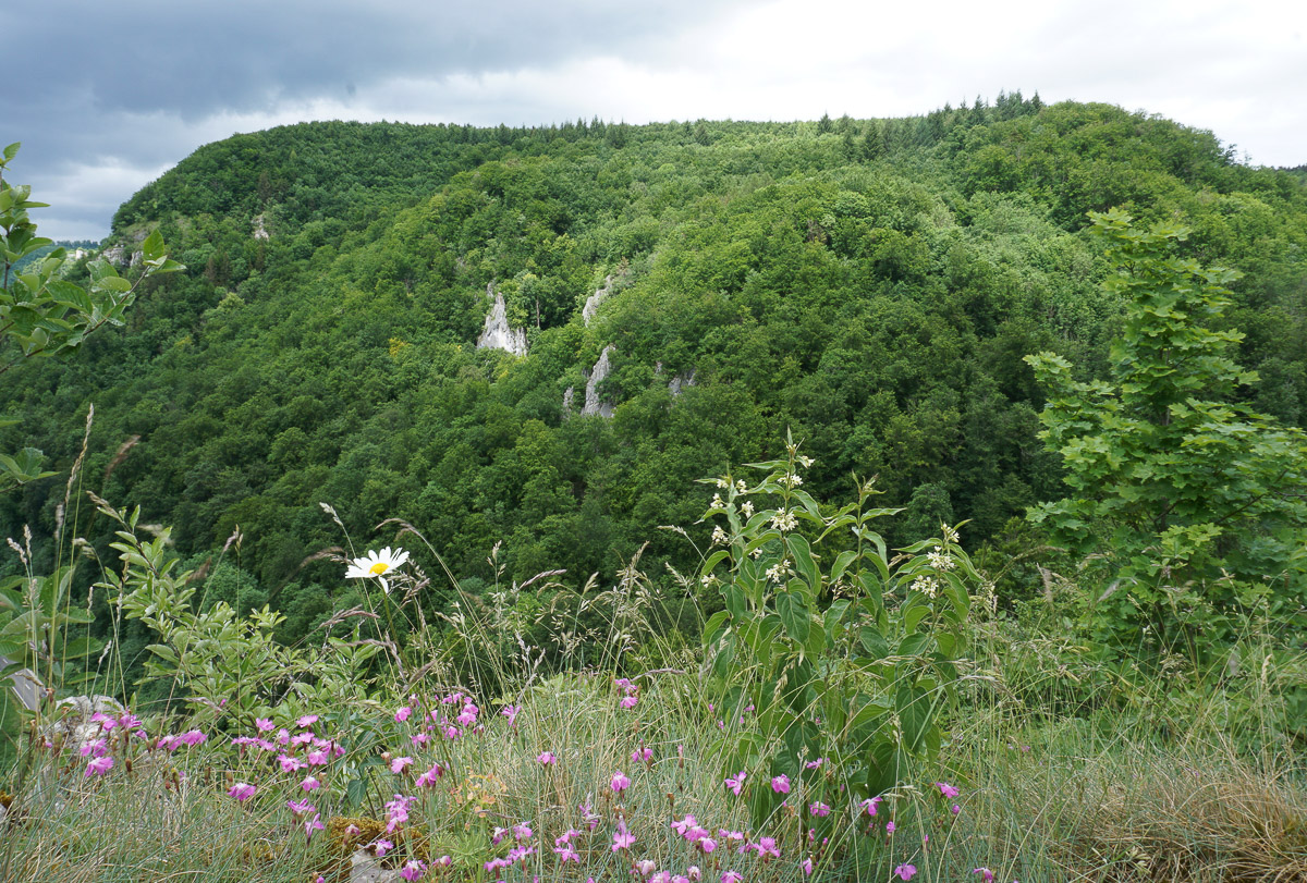 Schwäbische Alb: Hohenwittlingensteig