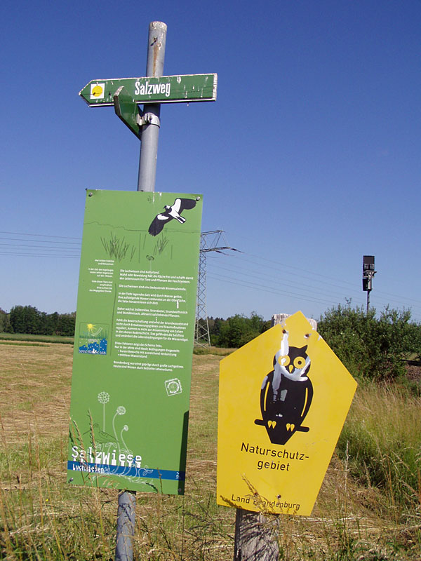 Von Storkow nach Wolzig – Salzwiesen, Treidelweg und Gipfelkreuz