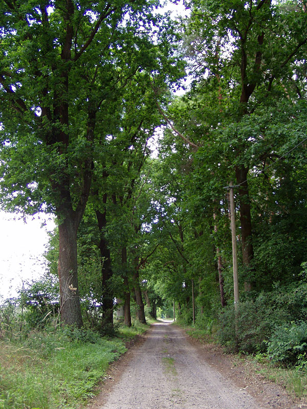 Von Storkow nach Wolzig – Salzwiesen, Treidelweg und Gipfelkreuz