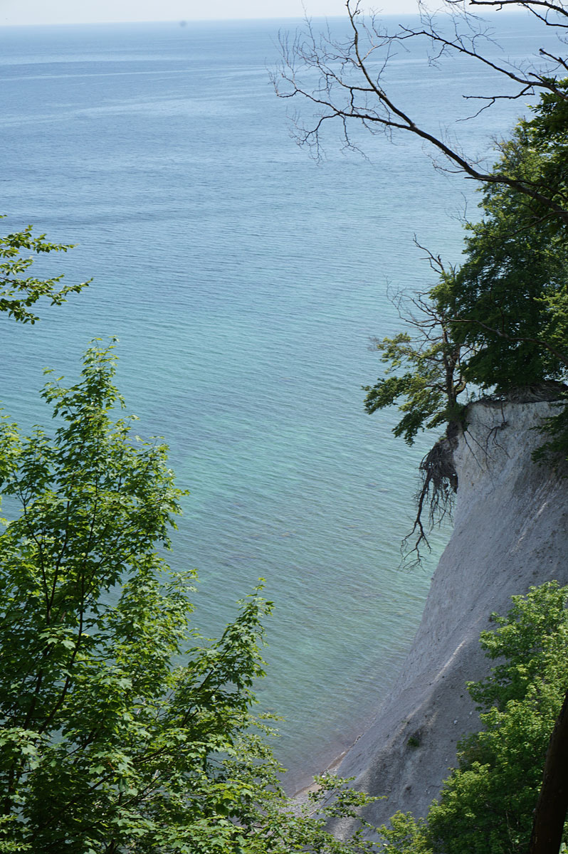 Wandern auf Rügen: Kreidefelsen im Nationalpark Jasmund