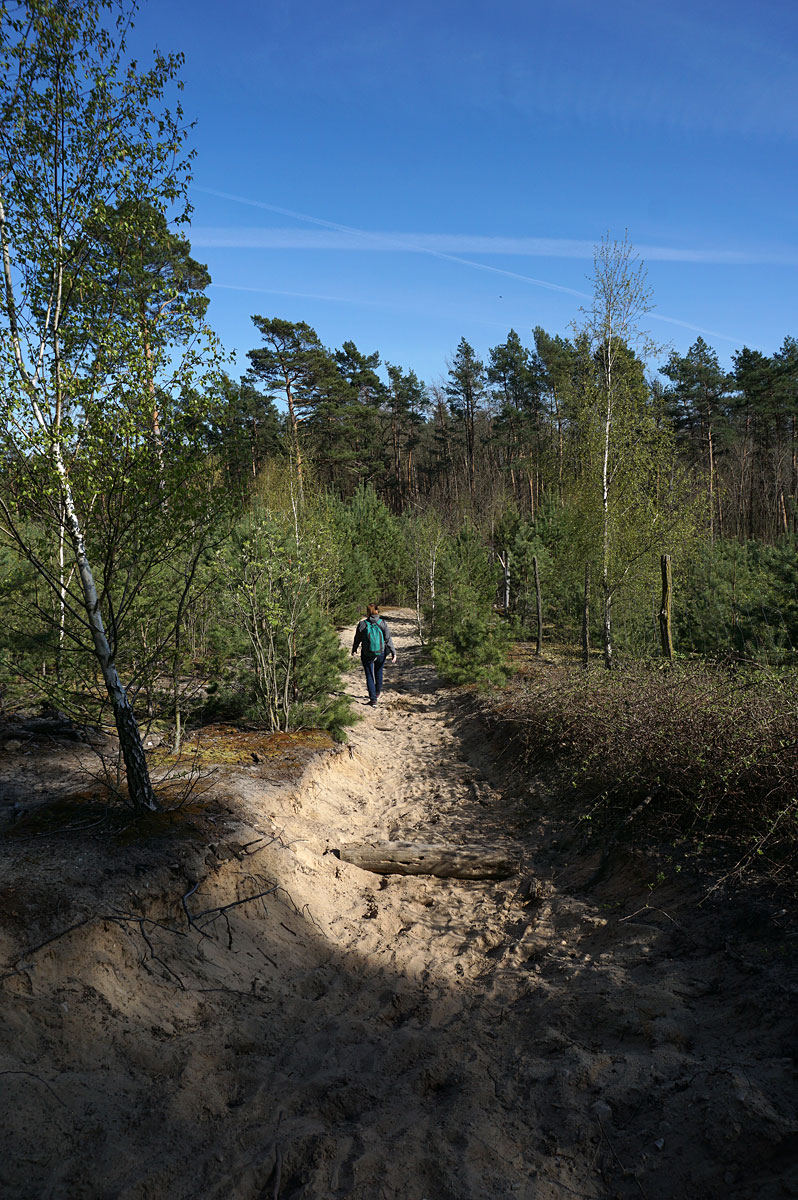 Wandern in Brandenburg: Glauer Berge und Blankensee