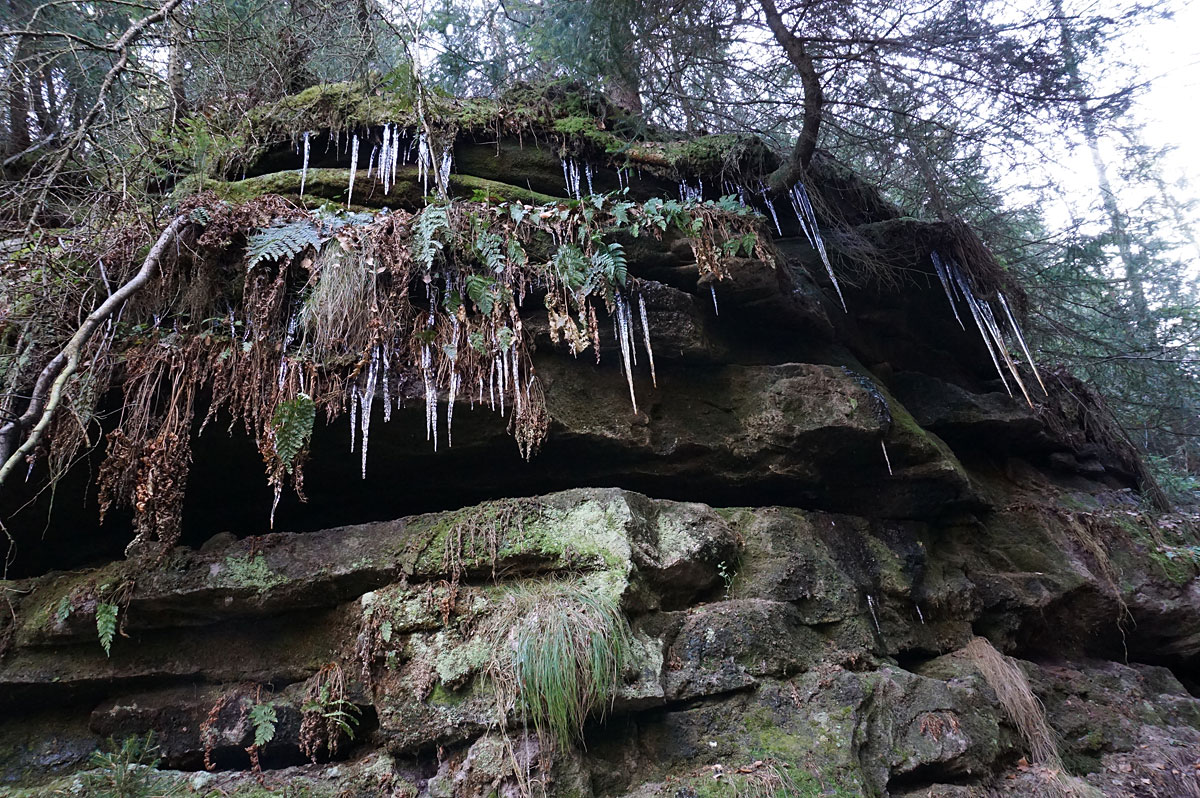 Wandern in der Sächsischen Schweiz: Carolafelsen und Schrammsteine ab Schmilka