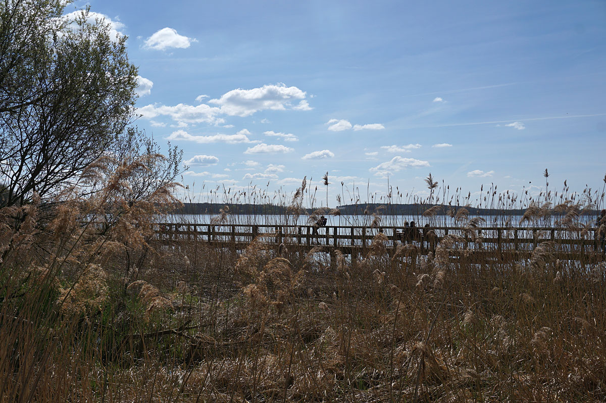 Wandern in Brandenburg: Glauer Berge und Blankensee