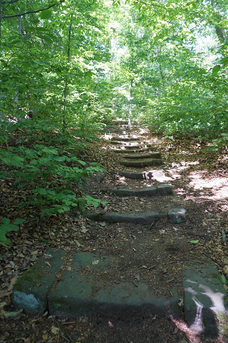 Elbhangwanderung bei Dresden