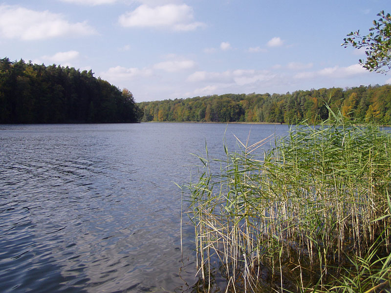 Von Lychen zu Zenssee und Platkowsee