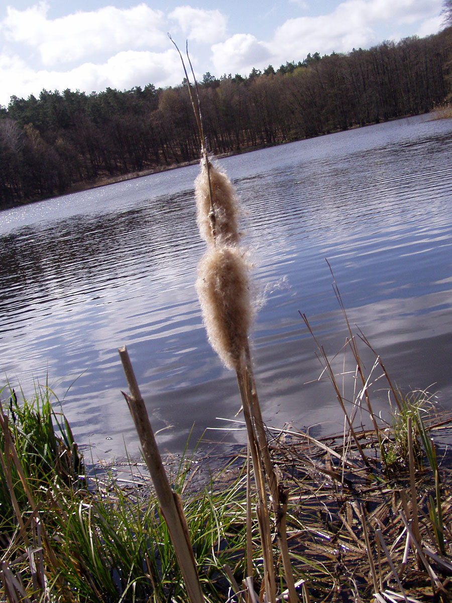 Wanderung von Altkünkendorf zur Glambecker Mühle