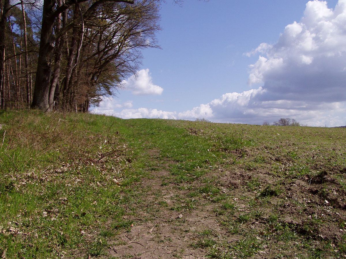 Wanderung von Altkünkendorf zur Glambecker Mühle