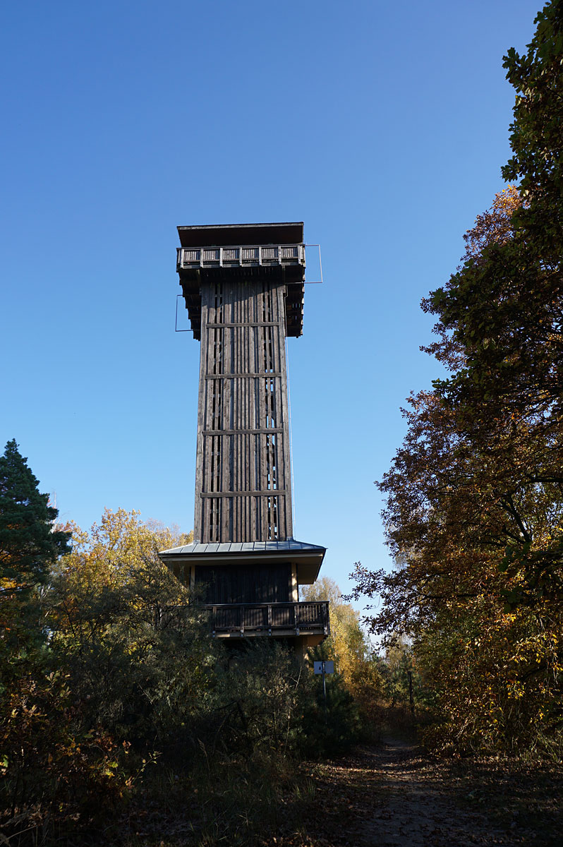 Wanderung um die Heideseen und auf den Wehlaberg bei Köthen