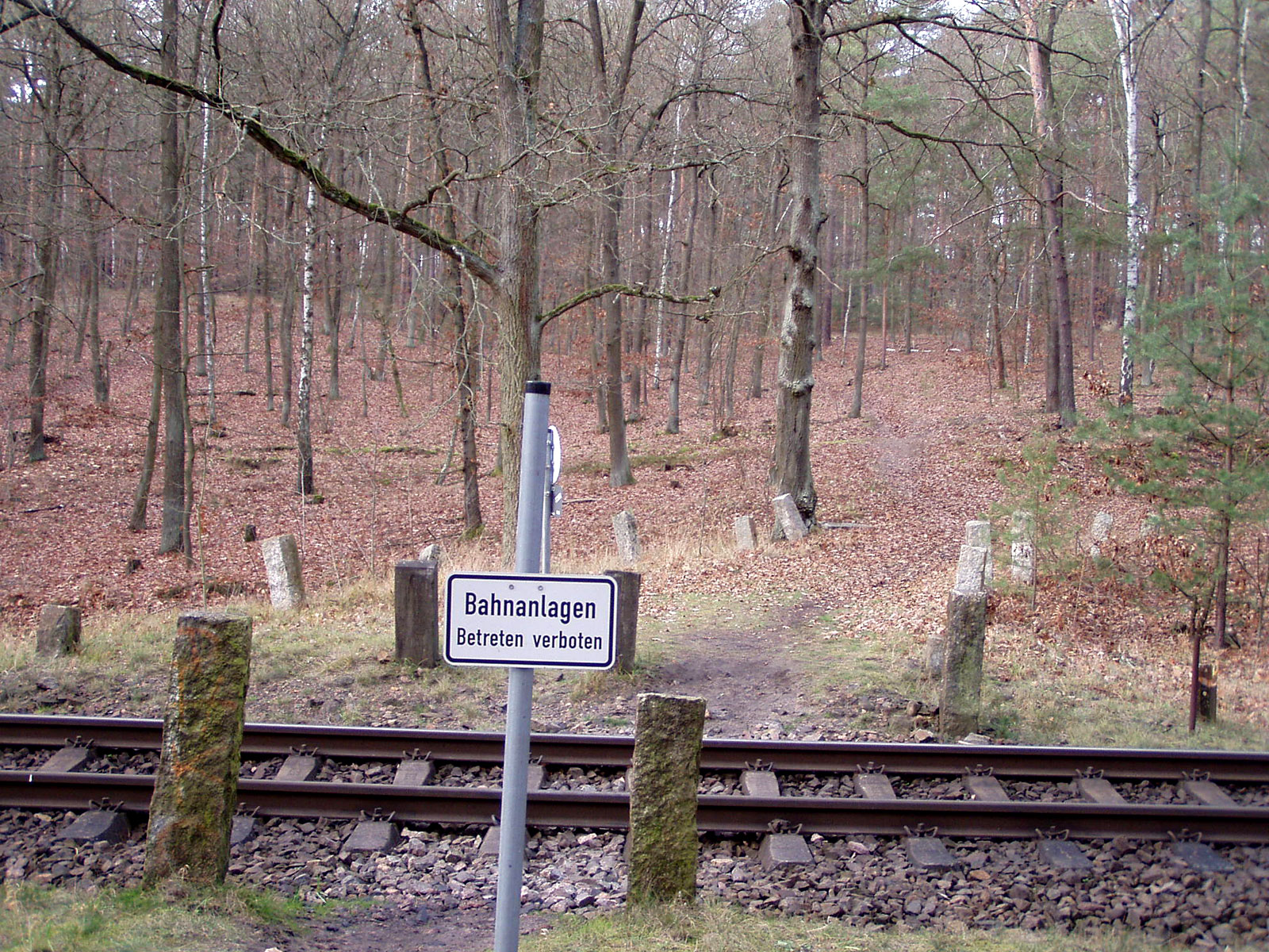 Über den Wietkiekenberg nach Petzow