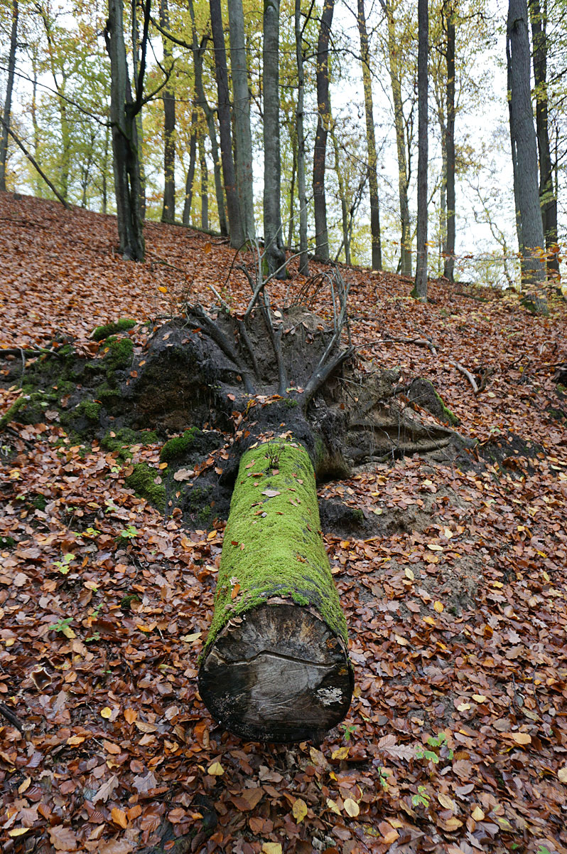 Schlaubetal Wandern in Brandenburg: Schlaubetal