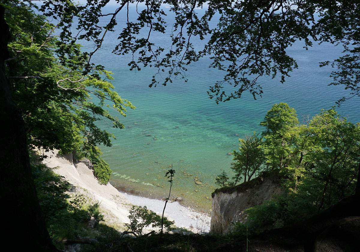 Kreidefelsen im Nationalpark Jasmund Wandern auf Rügen: Kreidefelsen im Nationalpark Jasmund