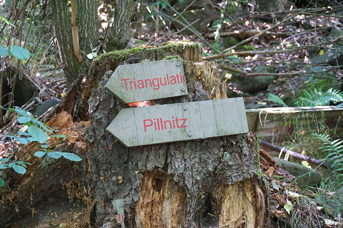 Elbhangwanderung bei Dresden