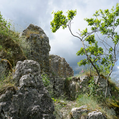 ehemalige Burg Baldeck am Hohenwittlingensteig