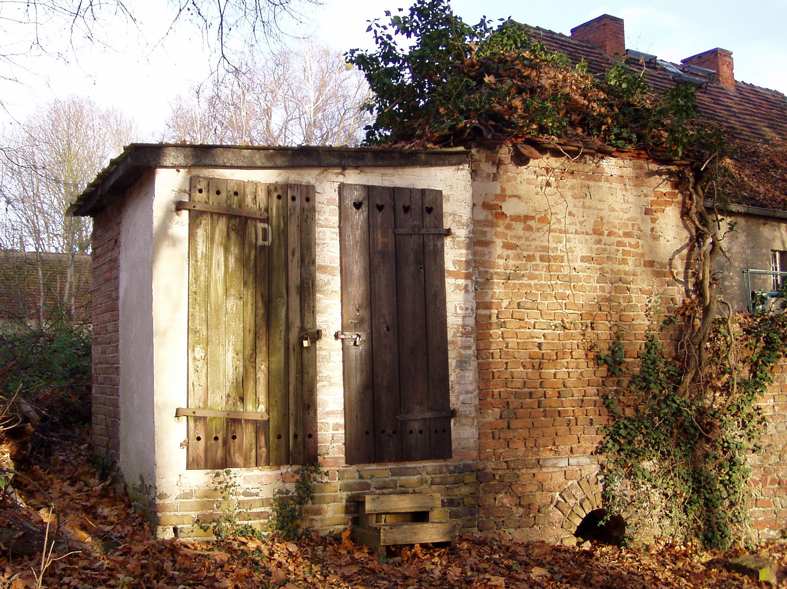 Über den Wietkiekenberg nach Petzow