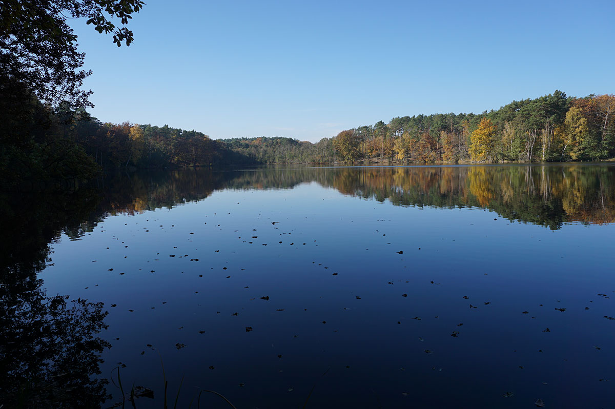 Wanderung um die Heideseen und auf den Wehlaberg bei Köthen