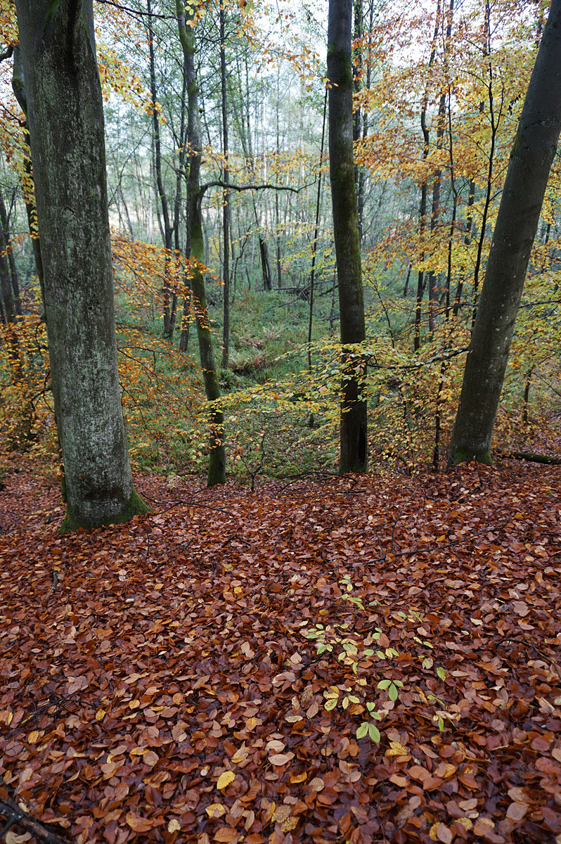 Wandern in Brandenburg: Schlaubetal