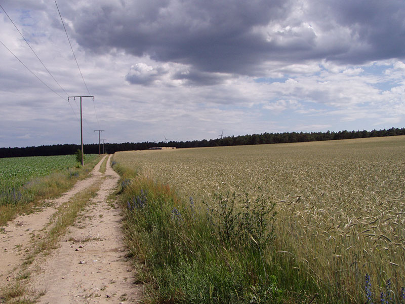 Von Dahme (Mark) nach Drahnsdorf