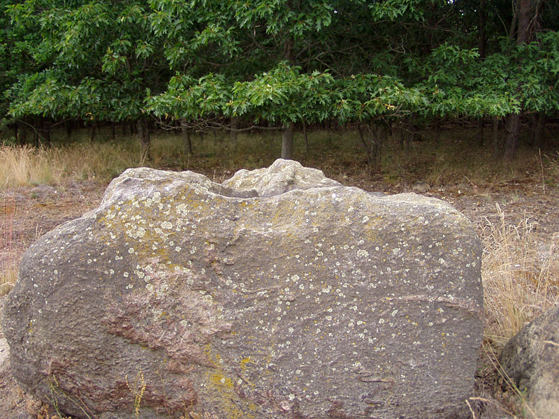 Von Dahme (Mark) nach Drahnsdorf
