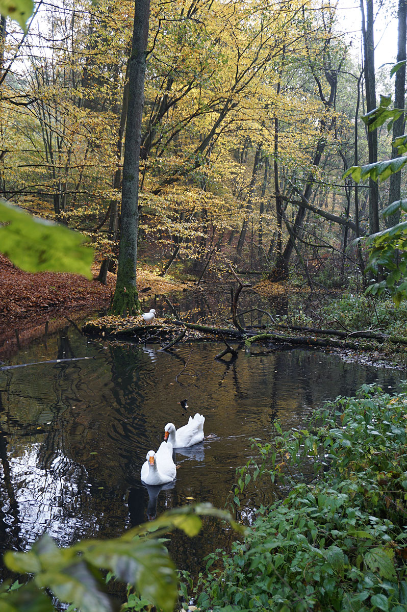 Wandern in Brandenburg: Schlaubetal