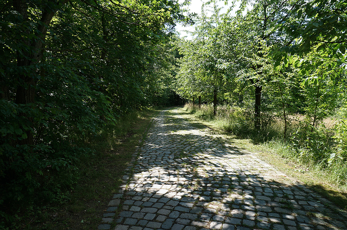 Elbhangwanderung bei Dresden