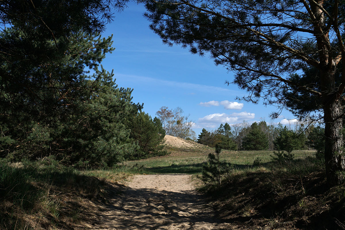 Wandern in Brandenburg: Glauer Berge und Blankensee
