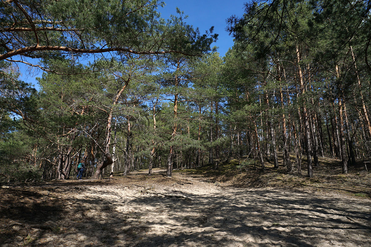 Wandern in Brandenburg: Glauer Berge und Blankensee