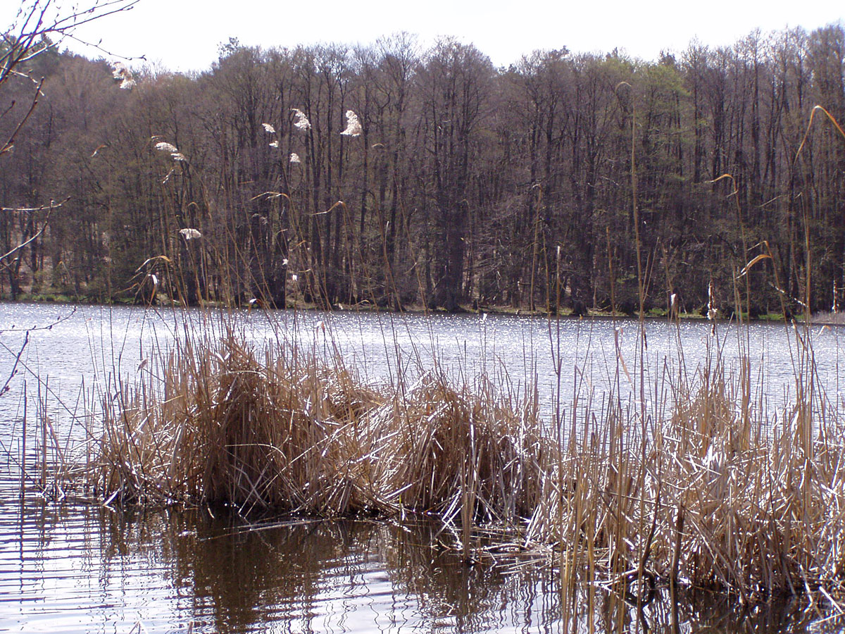 Wanderung von Altkünkendorf zur Glambecker Mühle