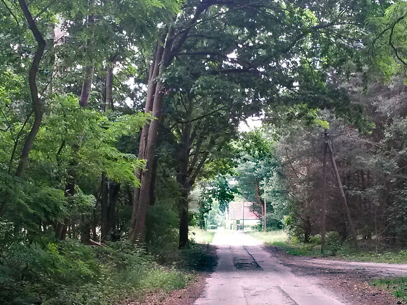 Von Storkow nach Wolzig – Salzwiesen, Treidelweg und Gipfelkreuz