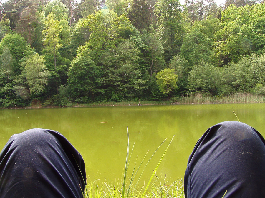 Lattseen bei Strausberg