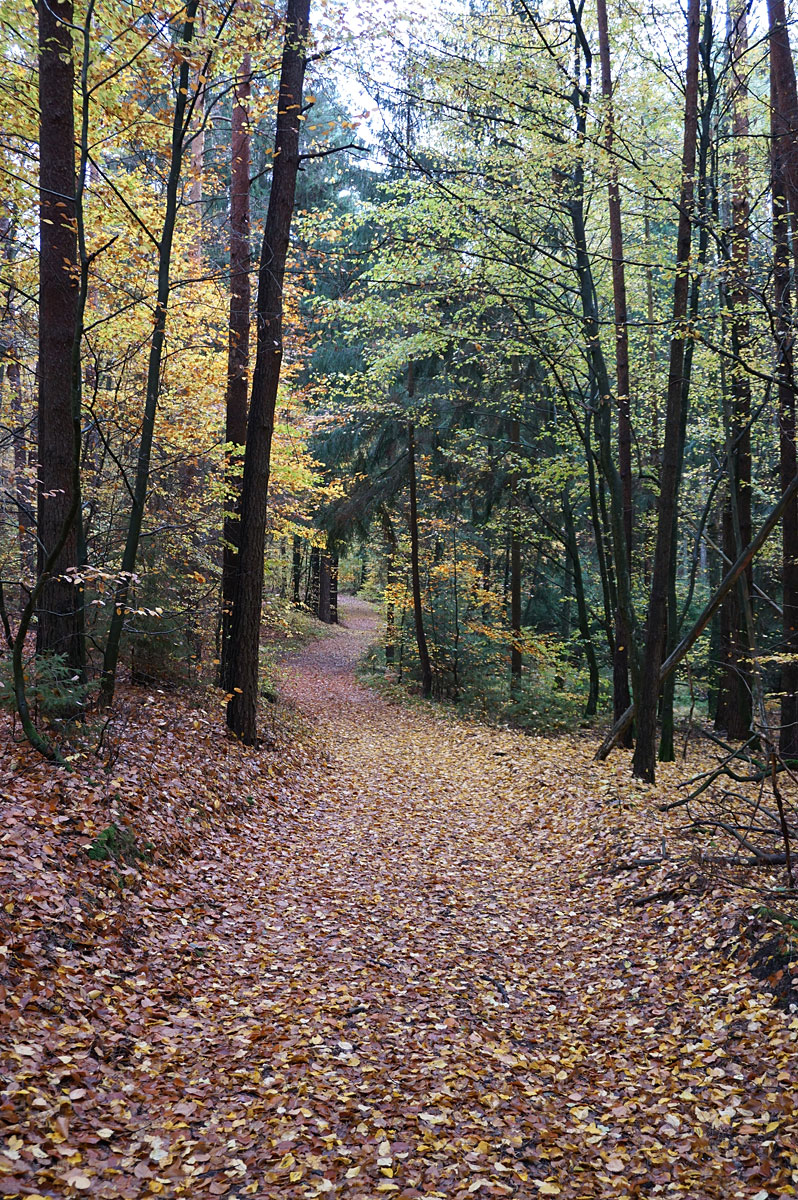 Wandern in Brandenburg: Schlaubetal