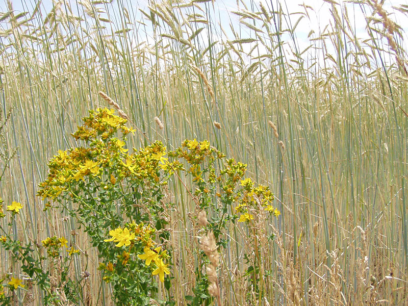 Von Dahme (Mark) nach Drahnsdorf